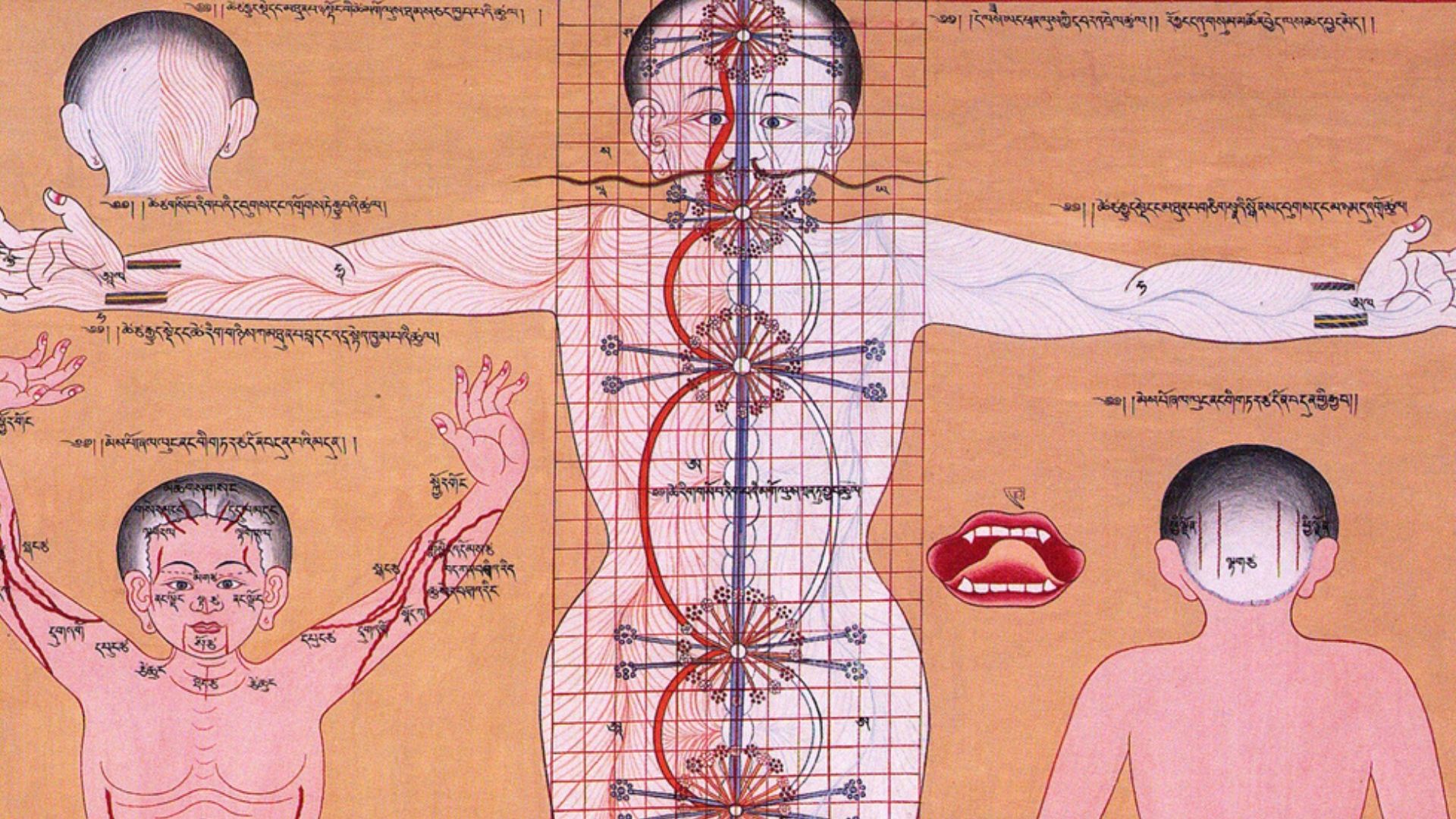 Subtle Body, Vajra Rosary Tantra, Yoga, Buddhism, Tibet, 