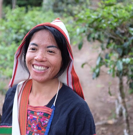 tea farmer yunnan