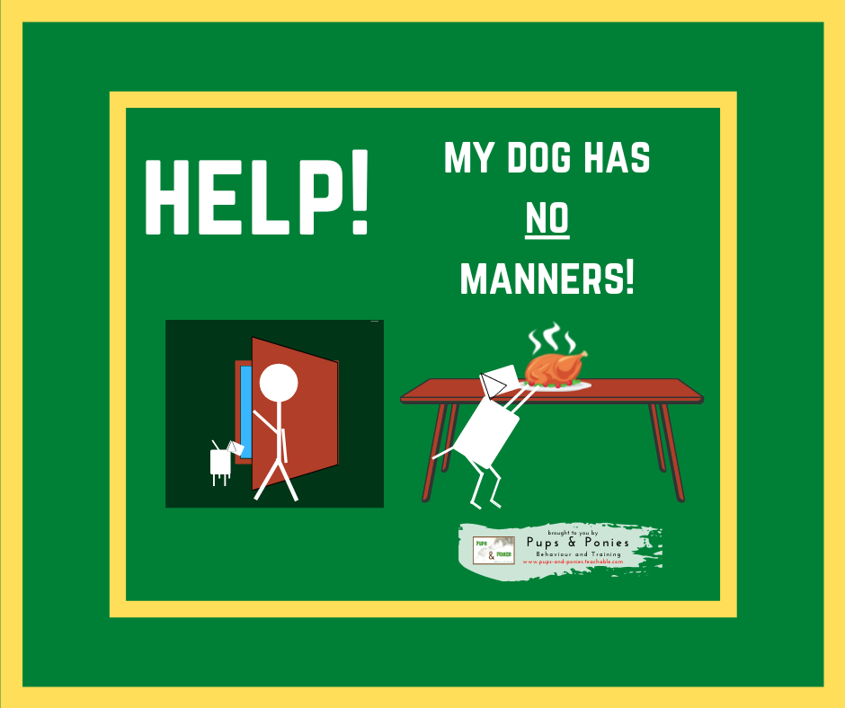 HELP! MY DOG HAS NO MANNERS!