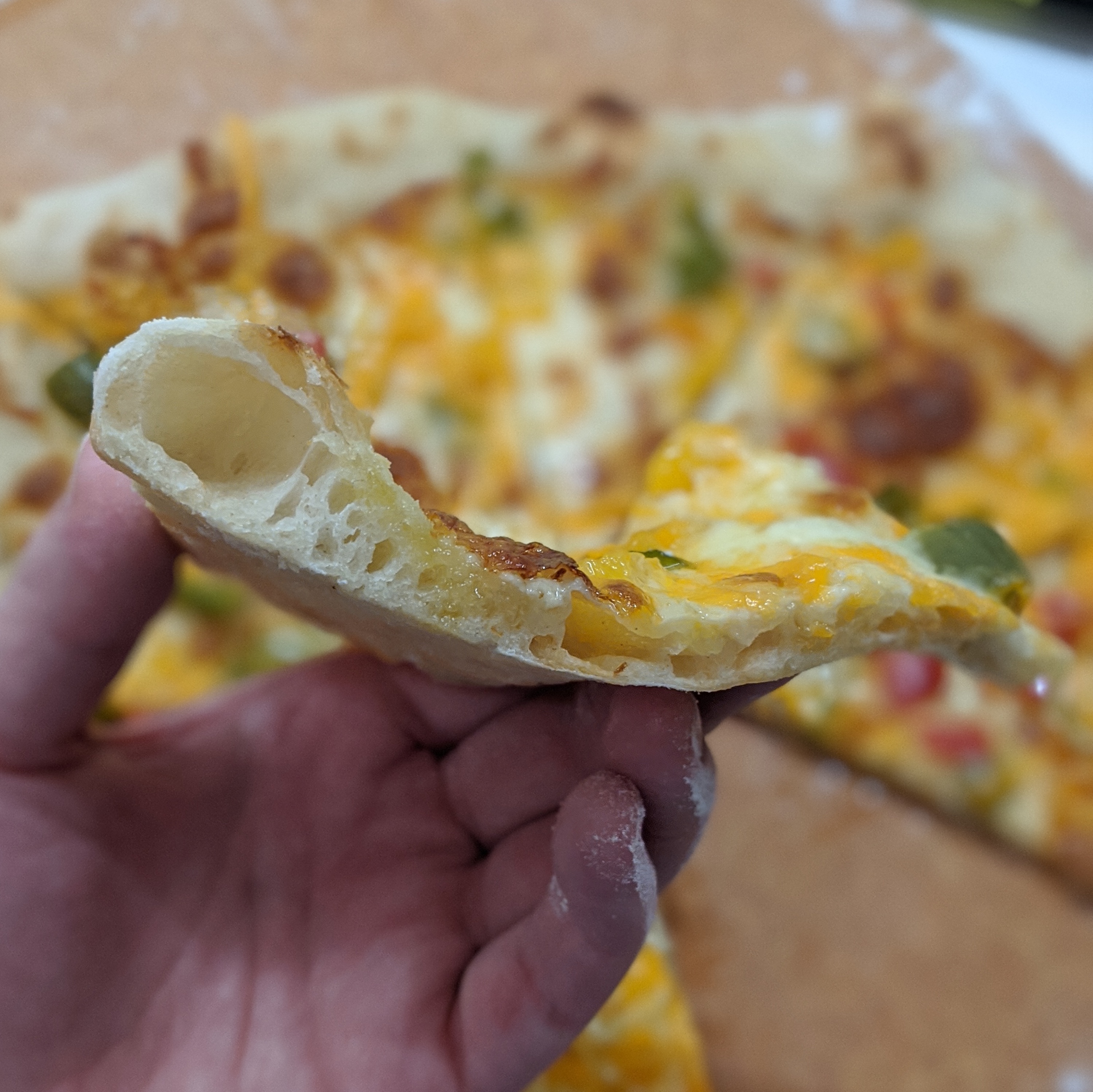 sourdough pizza crust