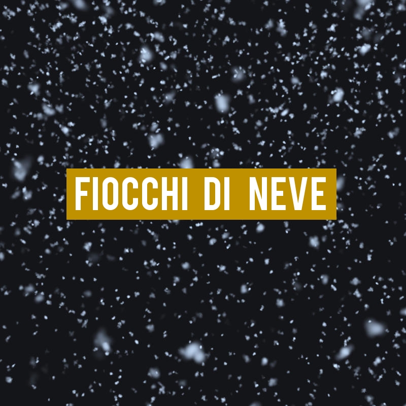 Fiocchi di neve