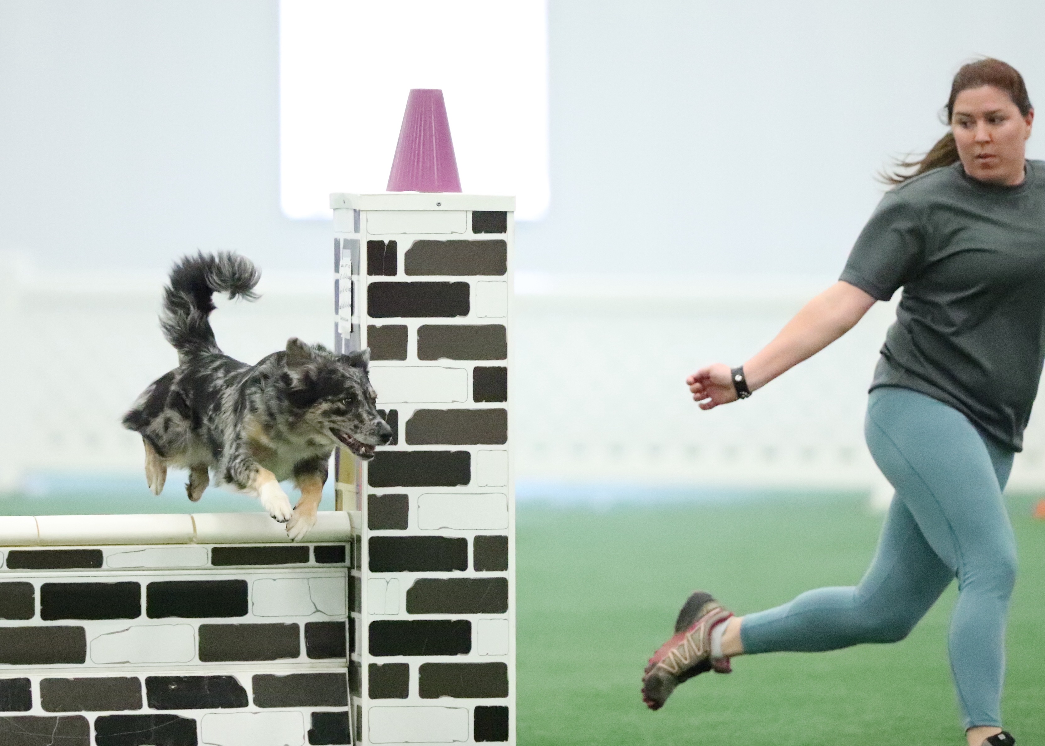 A white woman in a gray t-shirt and light blue leggings looks over her right shoulder with her right arm back and hand in a loose fist. She is looking at a blue merle Australian Shepherd jumping over a wall jump agility obstacle. The wall jump is black and white bricked. There is a dark pink cone on top of the right side tower of the wall. The ground is green and the background wall is white.