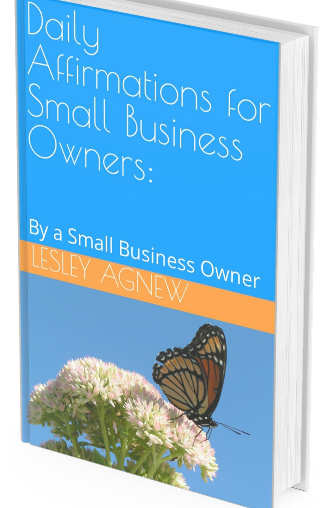 Daily Affirmations for Small Business Owners: By a Small Business Owner