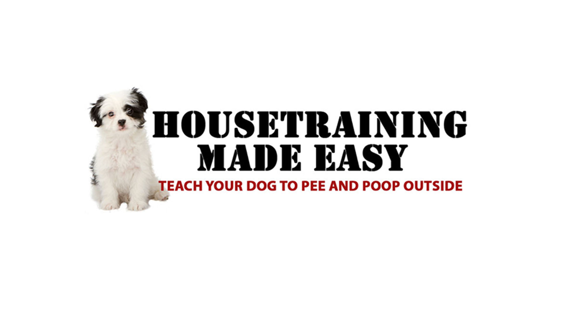 how to encourage your dog to poop outside