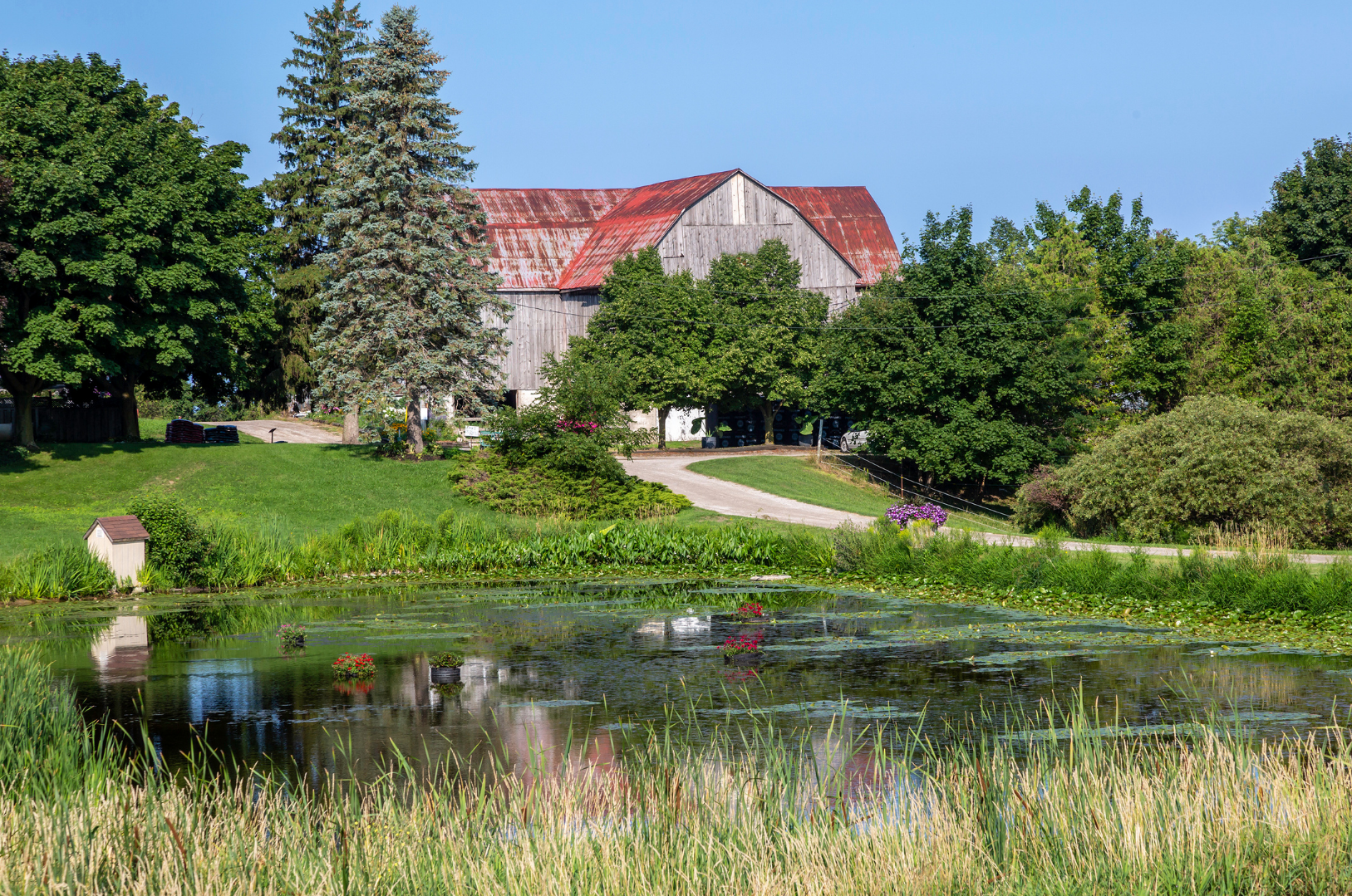 pond-barn-drive