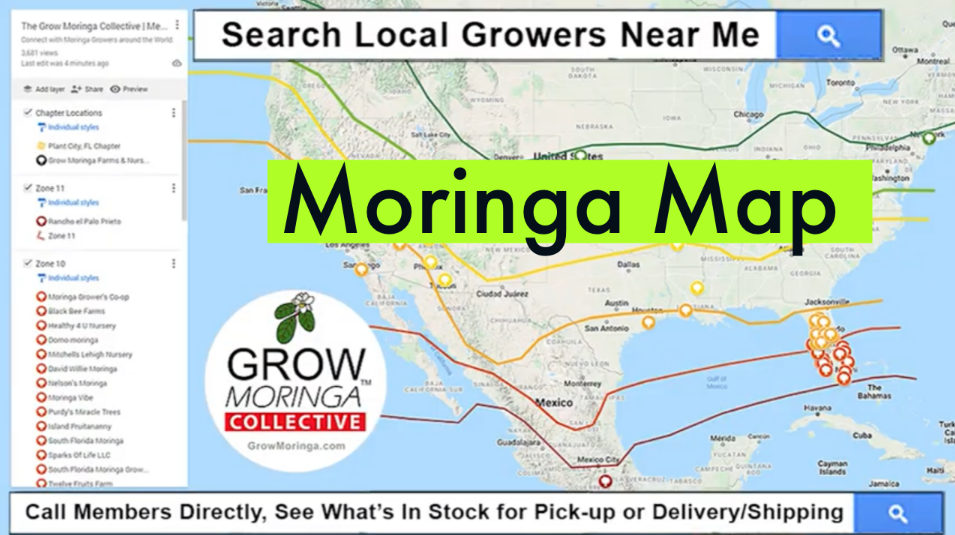 Moringa Map