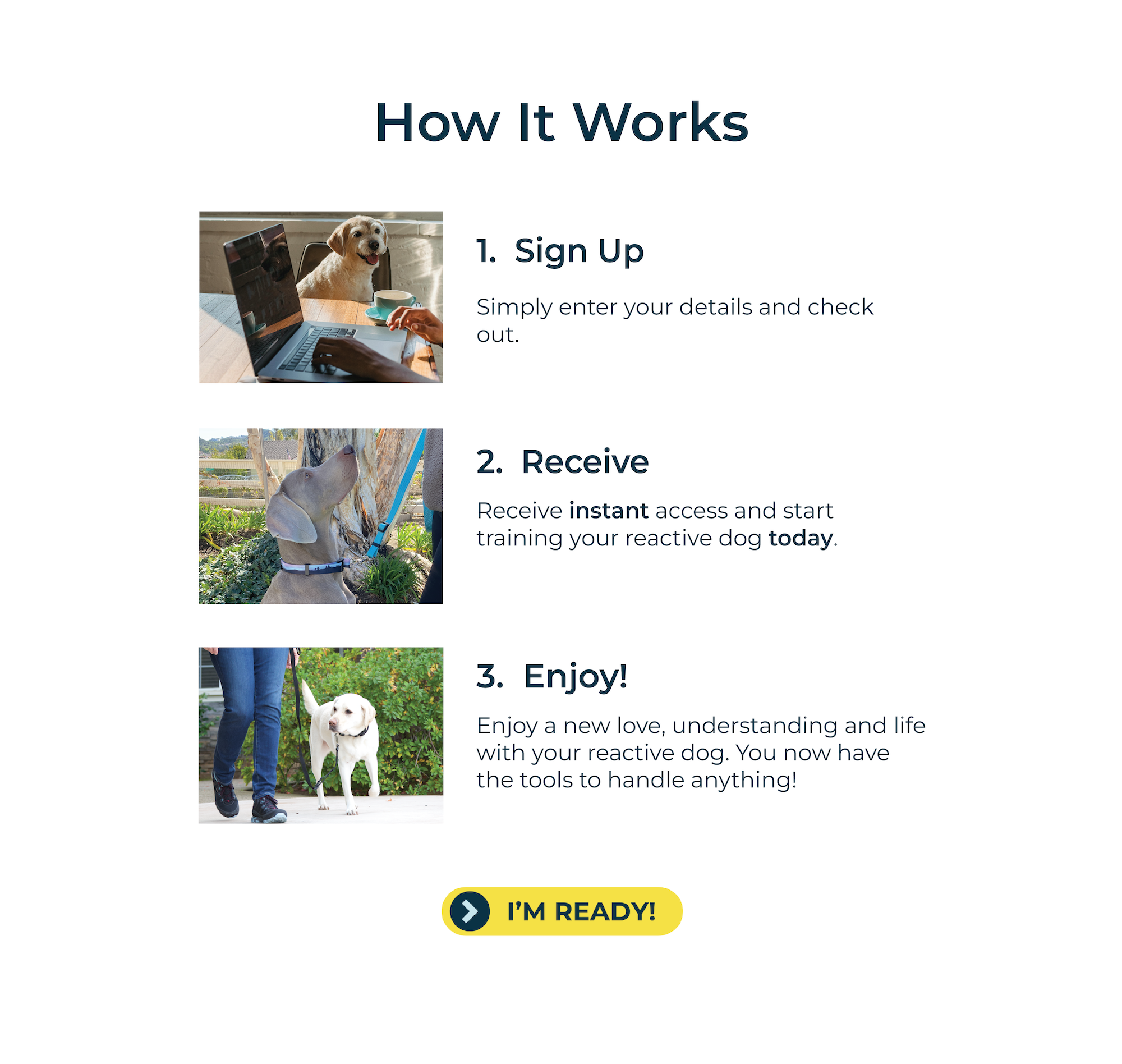 an image of a online reactive dog training program from fearless pet