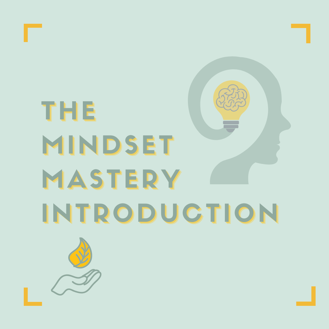 The Mindset Mastery Introduction