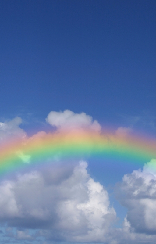 Health literacy is like a rainbow [picture of rainbow]