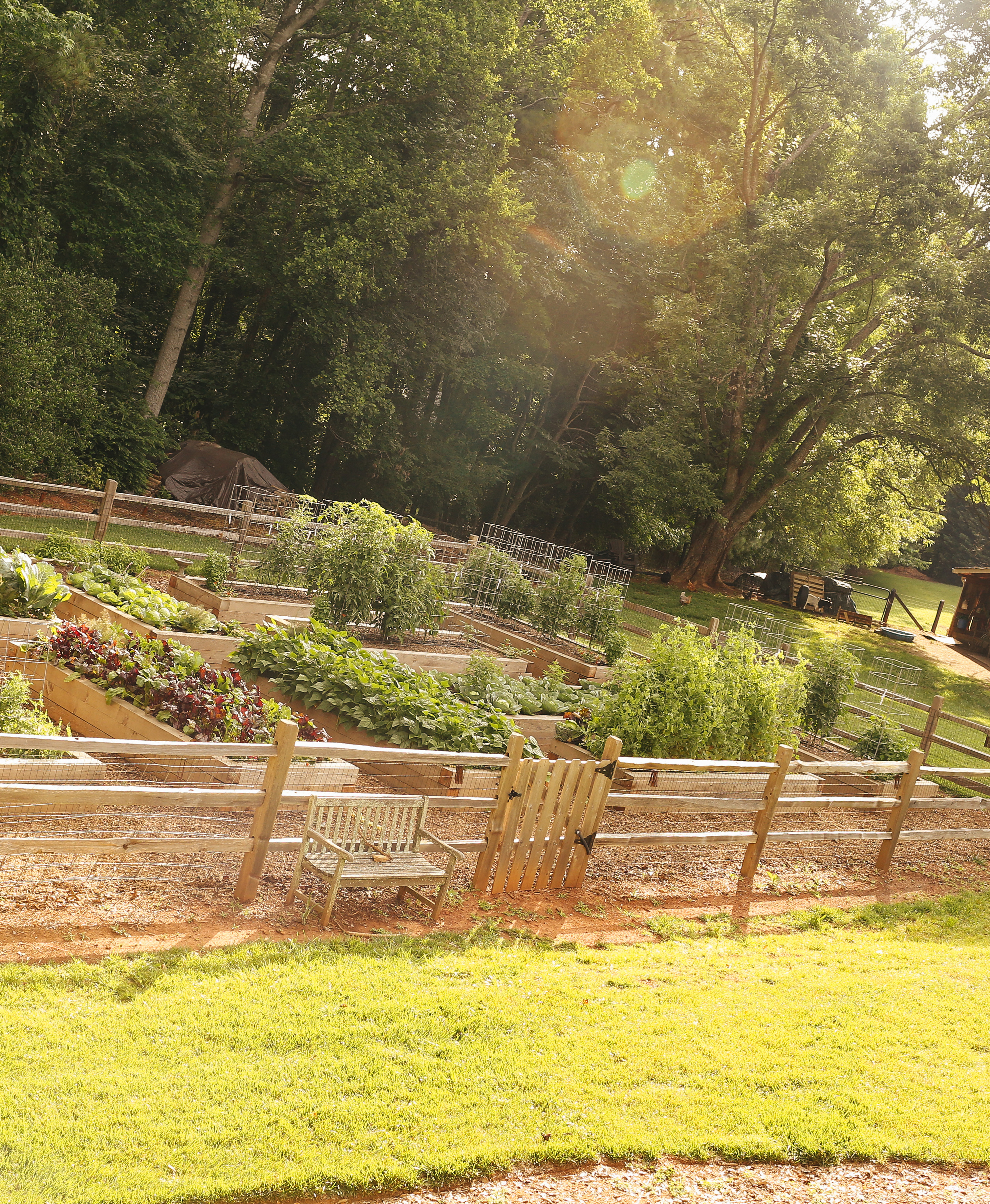 sun shining on raised bed garden