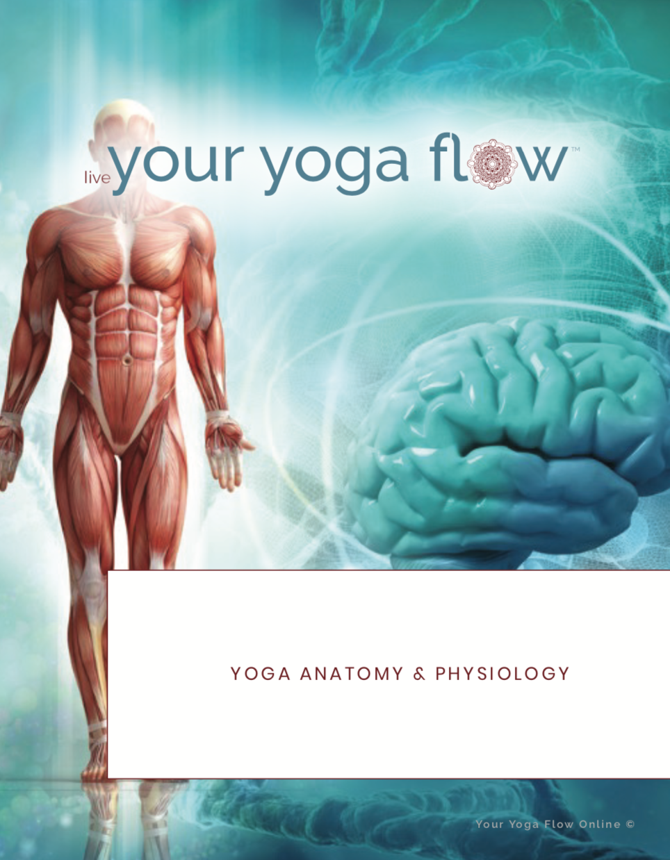 yoga anatomy online
