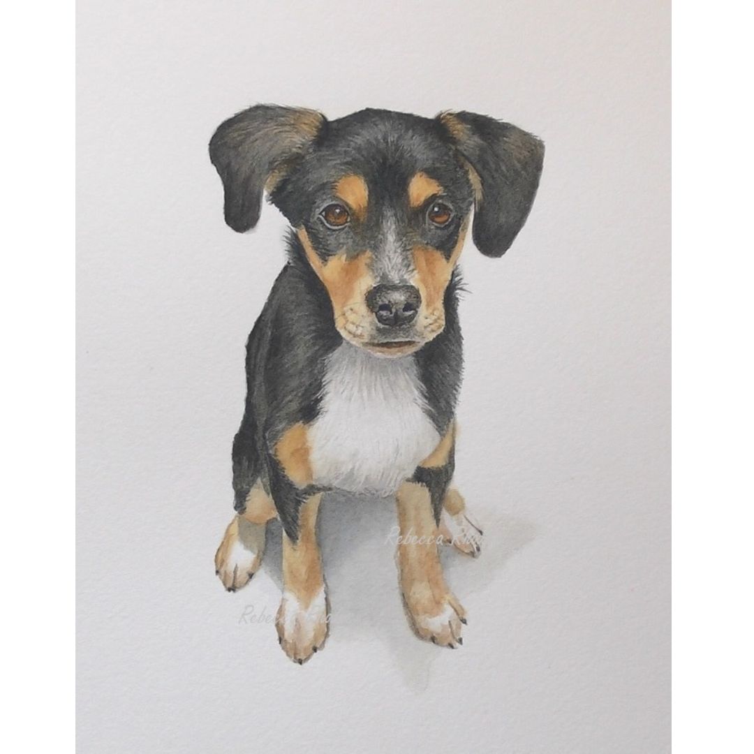 puppy in watercolor by rebecca rhodes