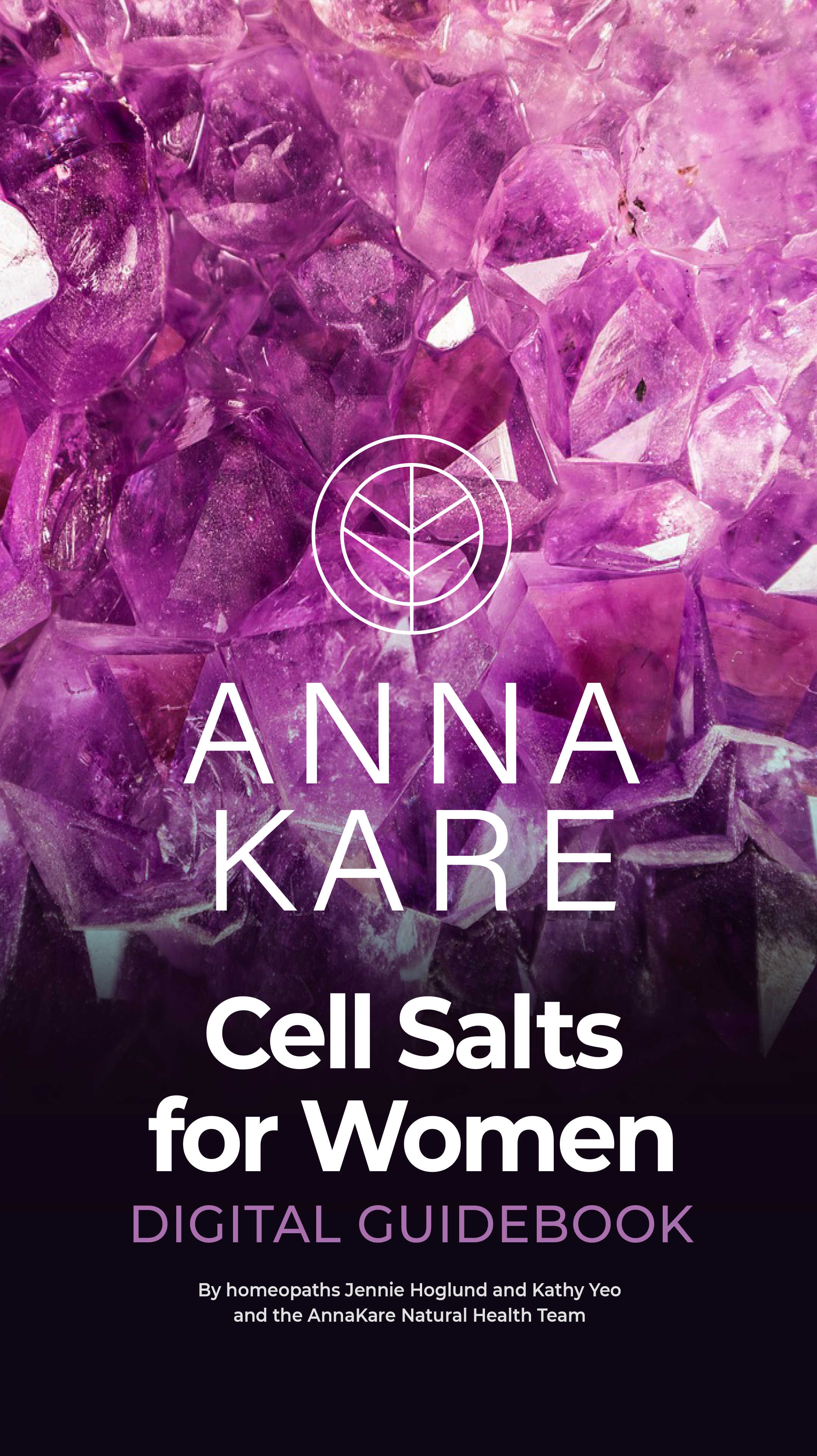 Cell Salts for Women eBook