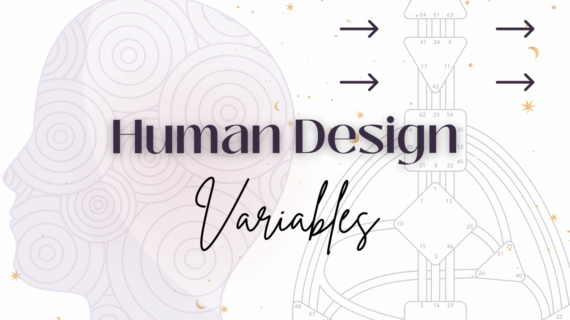 Variables Bundle