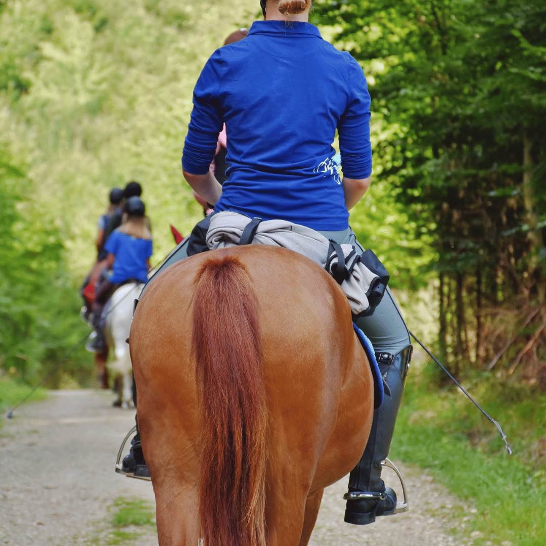 horse riders sit too much