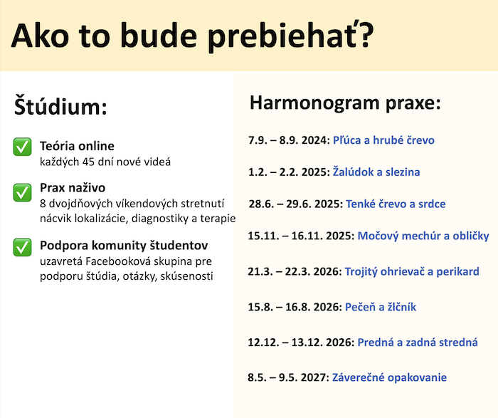 Ako bude prebiehať kurz akupunktúrne body a meridiány