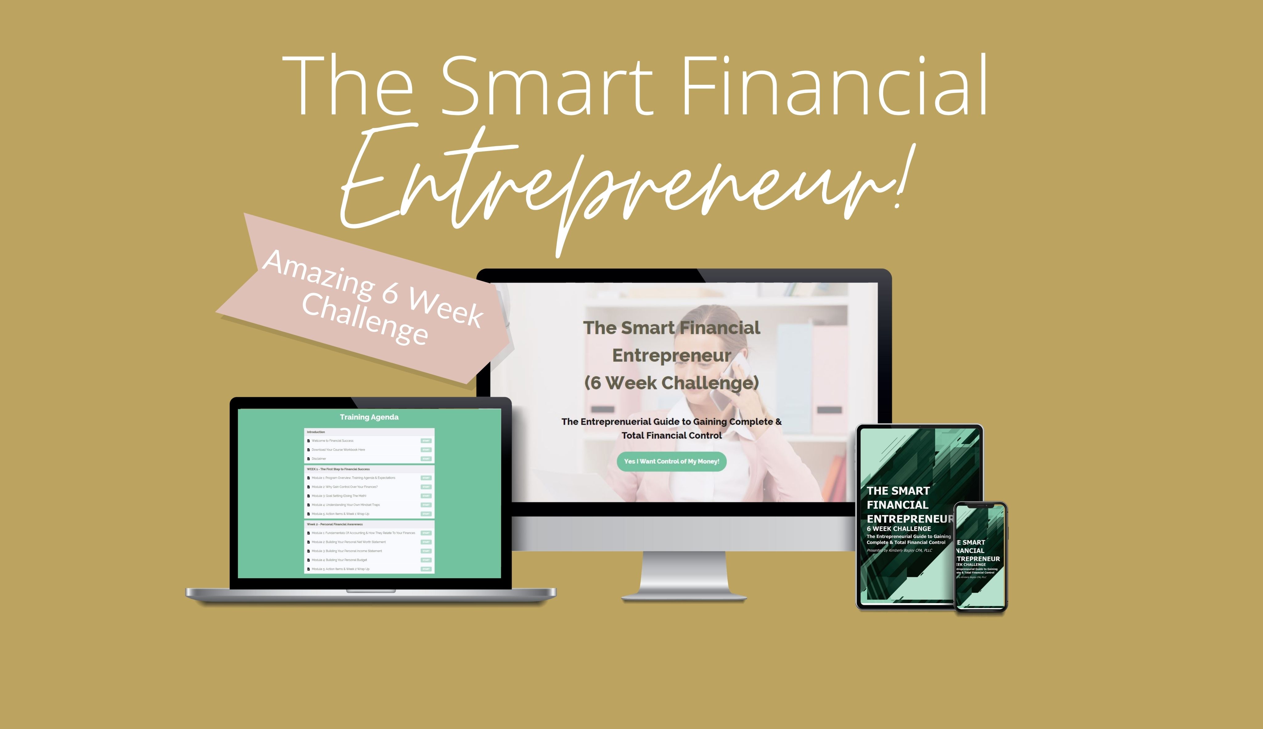 The Smart Financial Entrepreneur - 6 Week Challenge