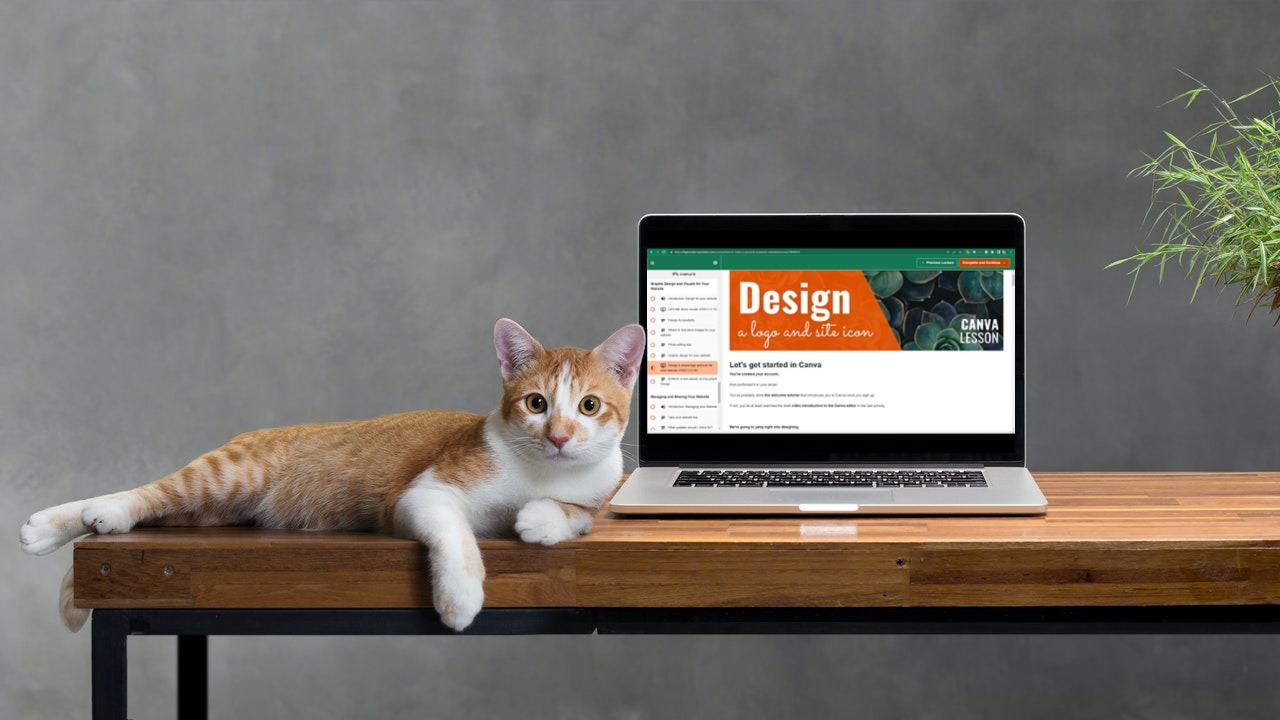An orange cat lies next to an open laptop on a table with a plant. On the laptop is a screenshot from the personal websites course focused on designing a logo and site icon with Canva for your personal website.