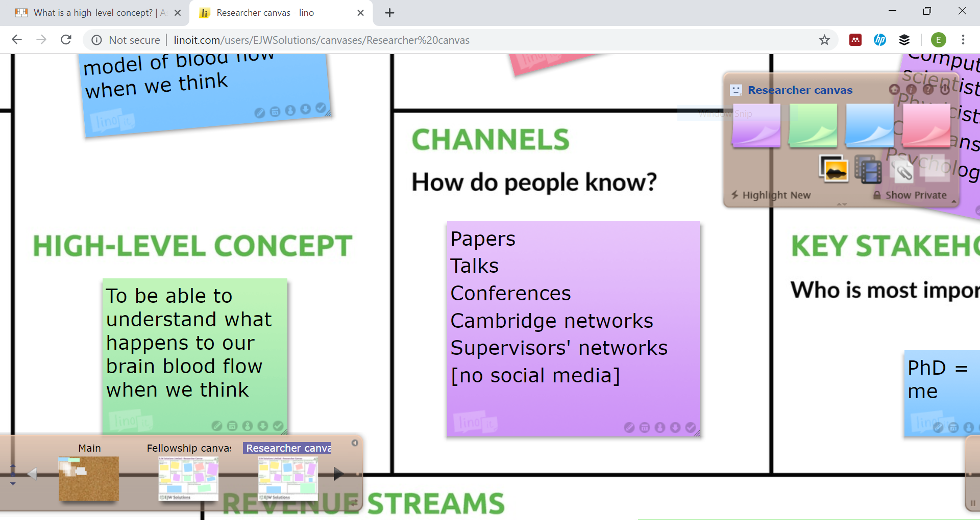 A set of post-its on the researcher canvas