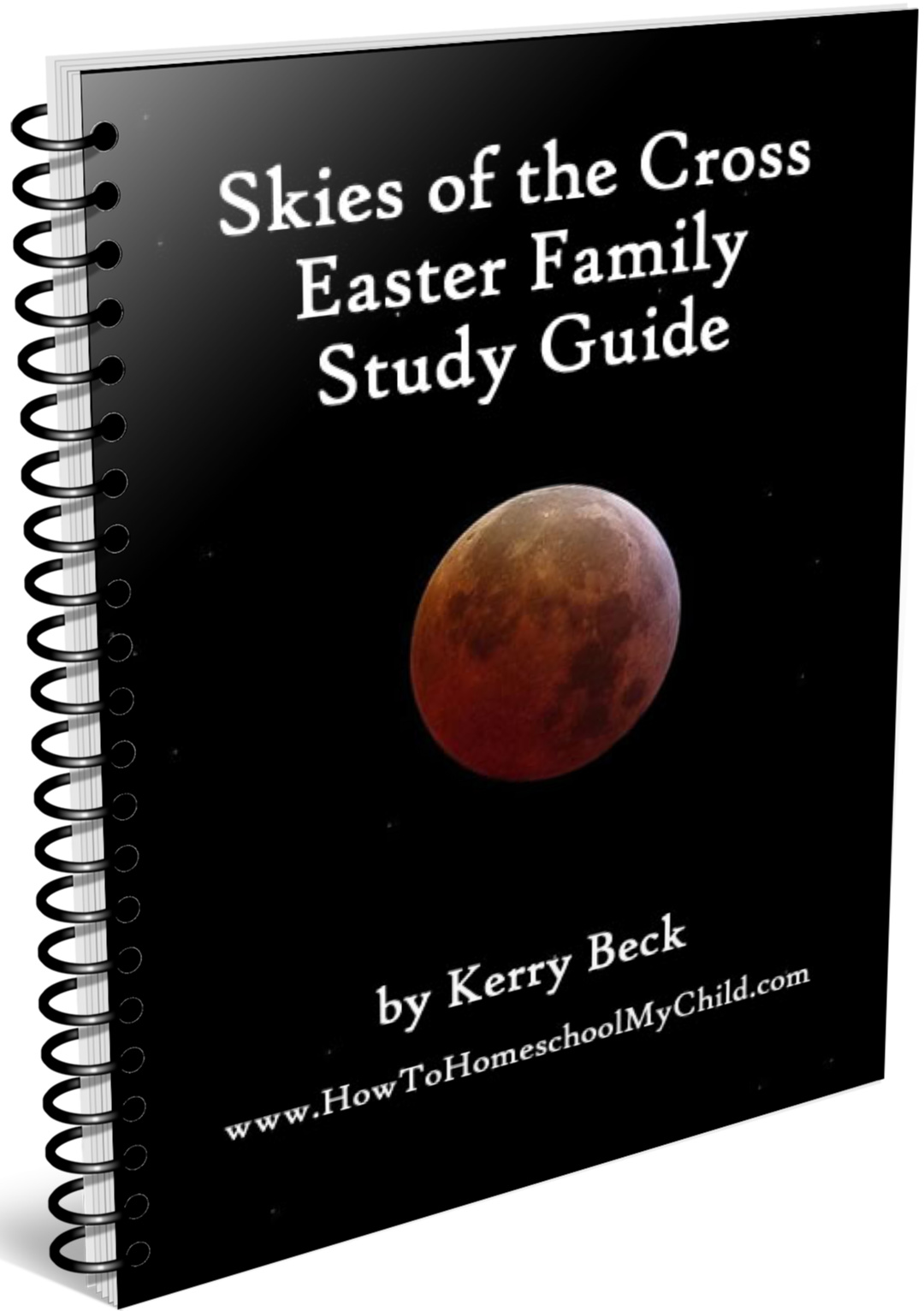 Skies of the Cross Easter Family Study Guide 