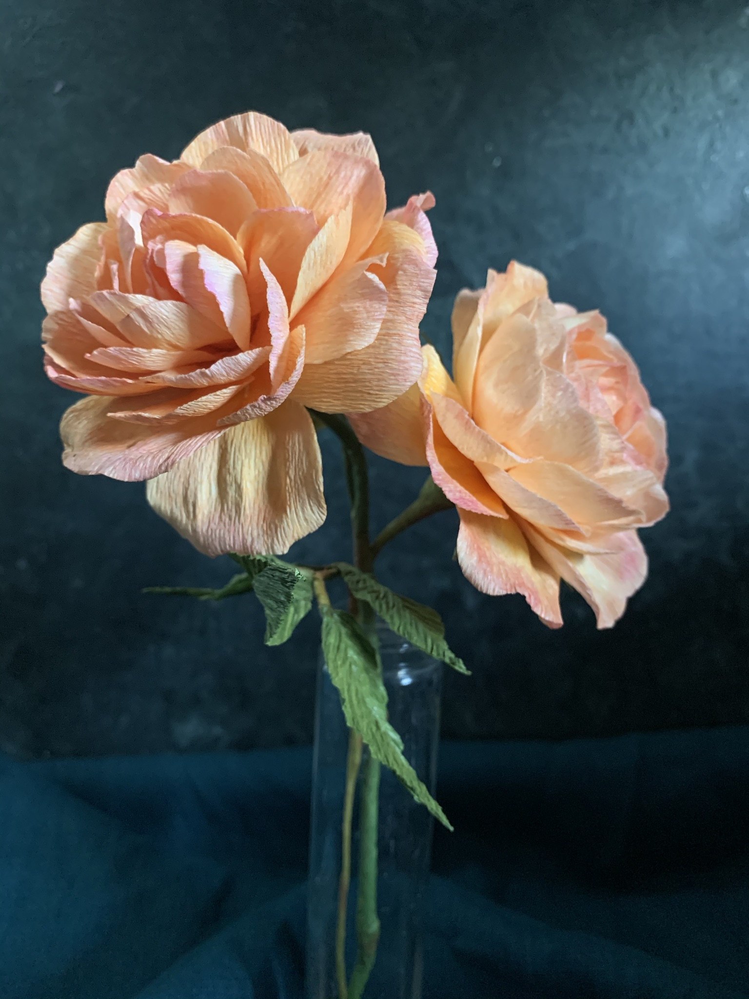 Lady of Shalott Rose