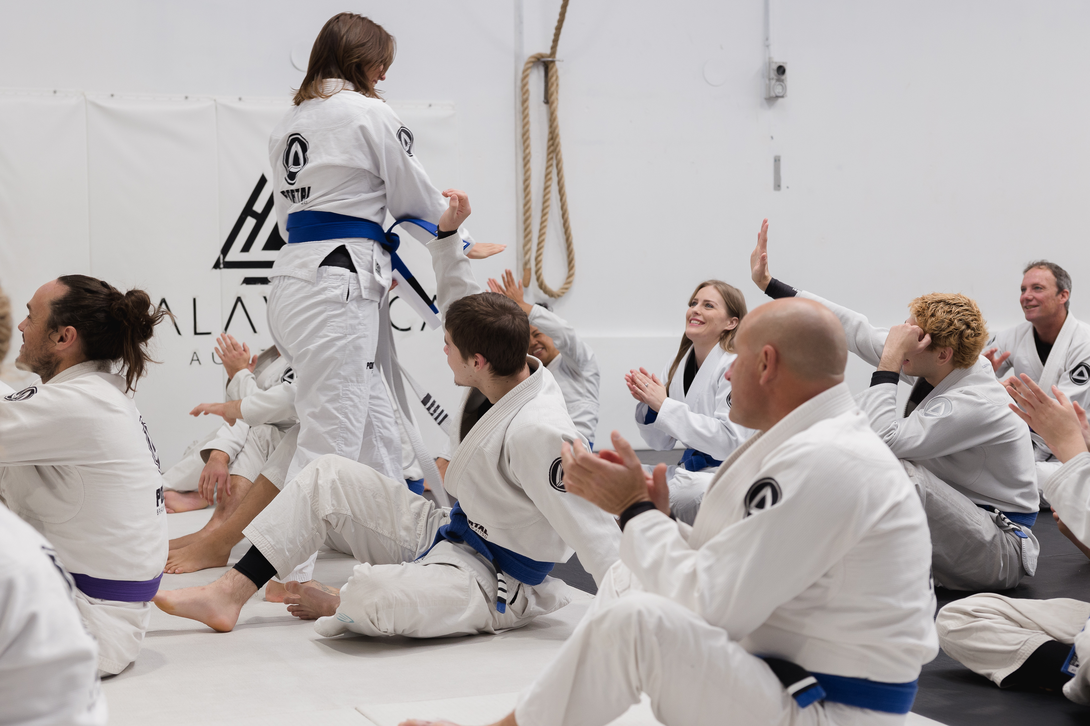 Black Belt Professors Portal