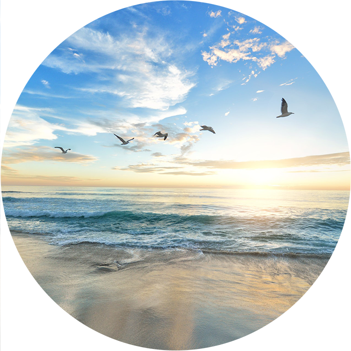 Birds flying over an ocean with the sun setting behind them