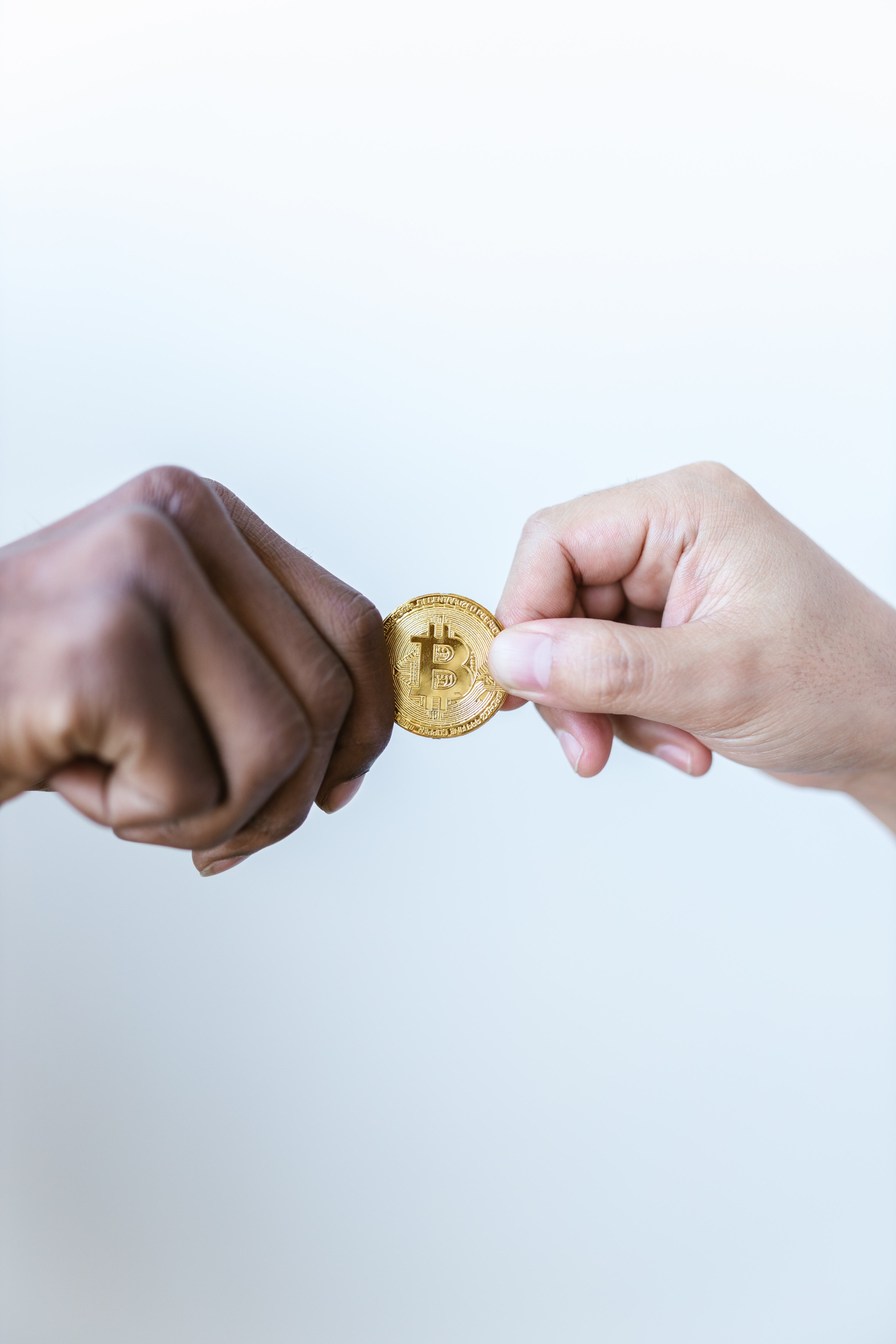 Bitcoin Education and Mastery Program ; Full Bitcoin, Wholecoiner
