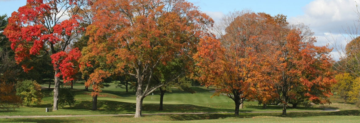 NJ Shade Tree Federation