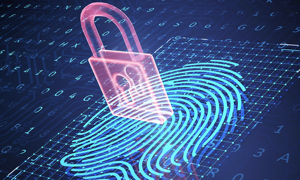 seguridad informatica