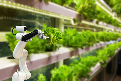 Online Training Artificial Intelligence (AI) in the Food Supply Chain