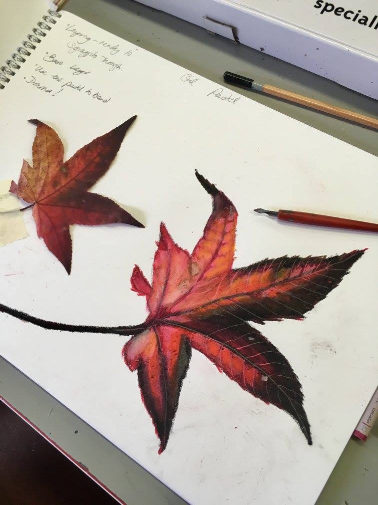 drawing painting oil pastel leaves nature