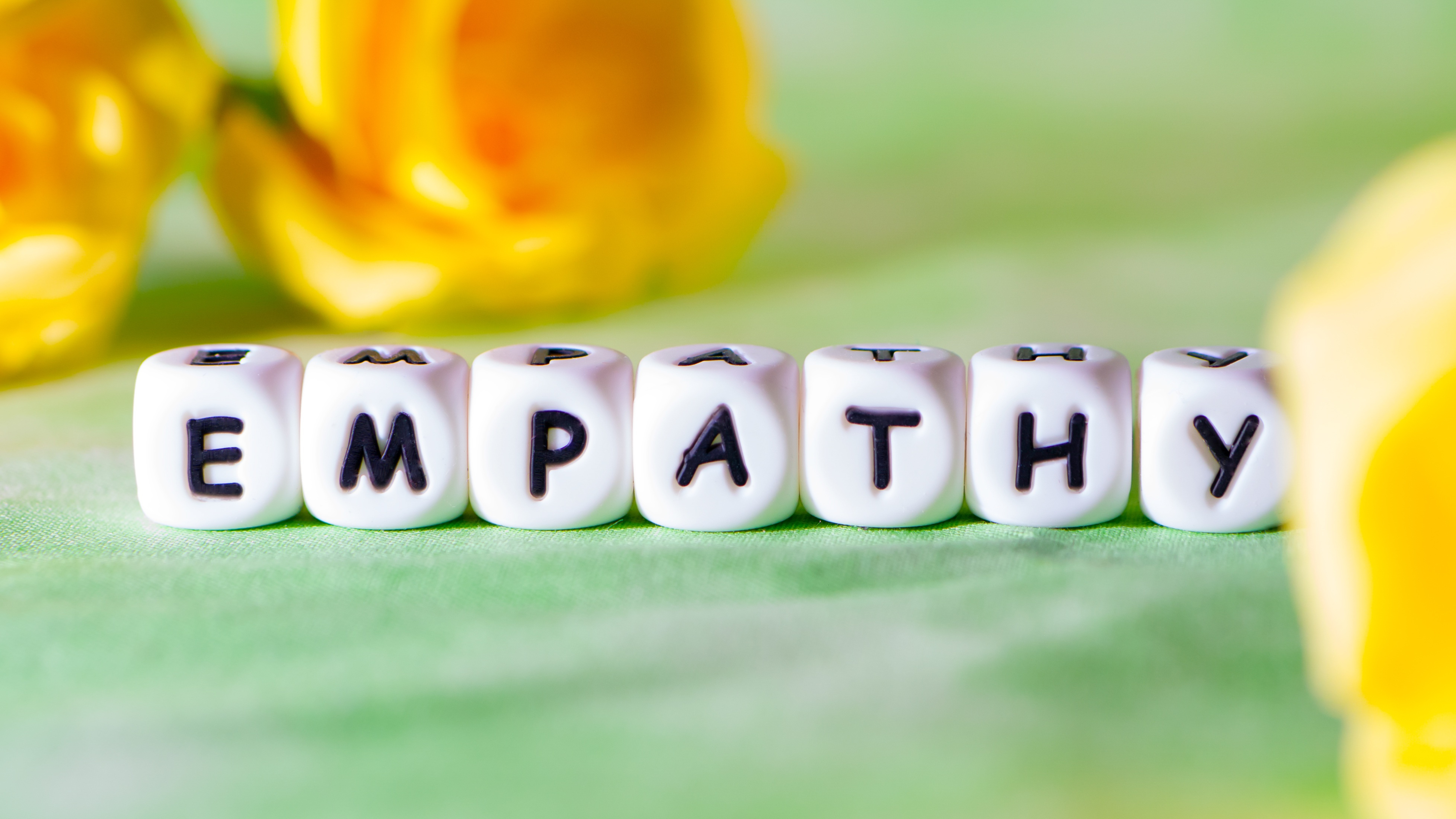 empathy word built with blocks