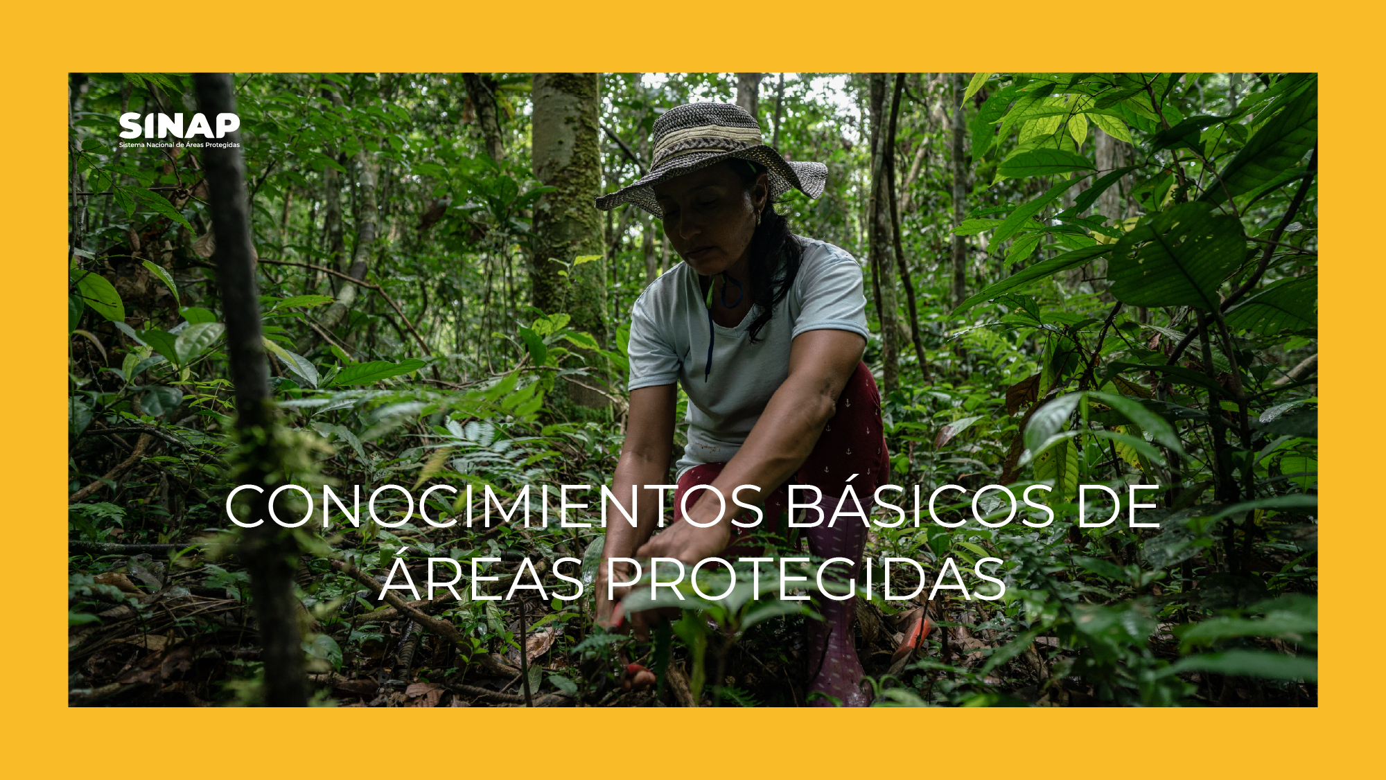 Conocimiento básicos sobre las áreas protegidas en Colombia 