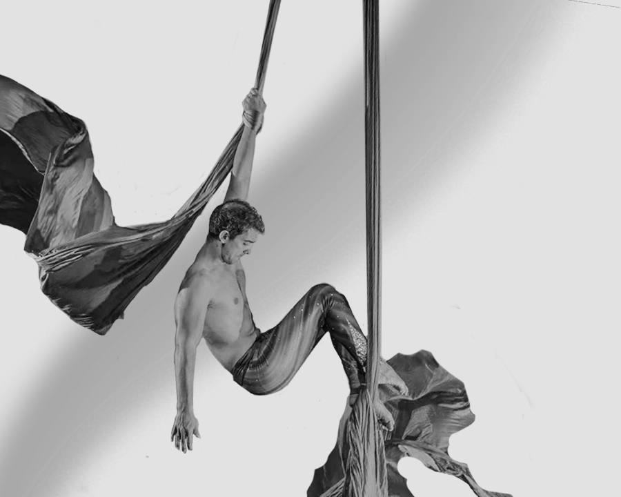 aerial silks