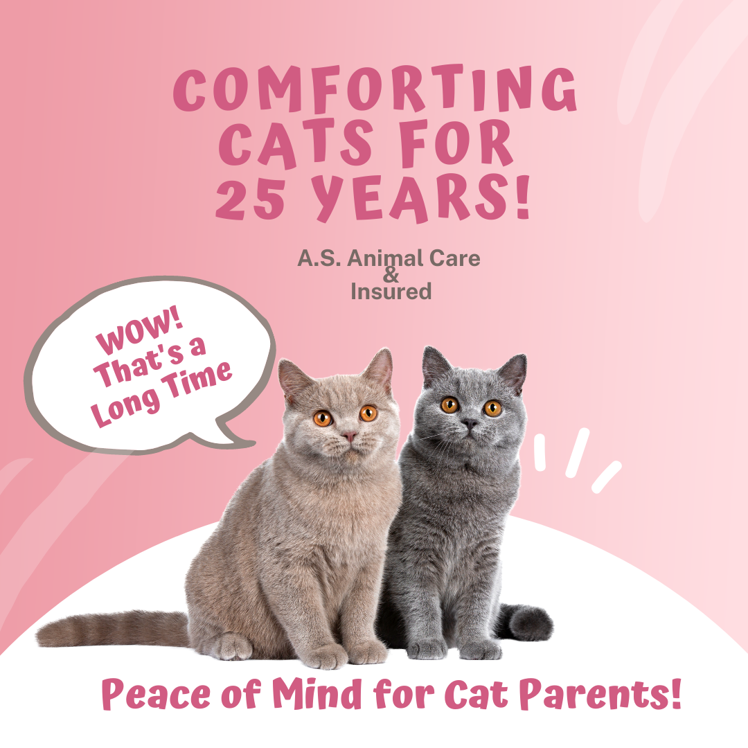 Comforting cats for 25 years