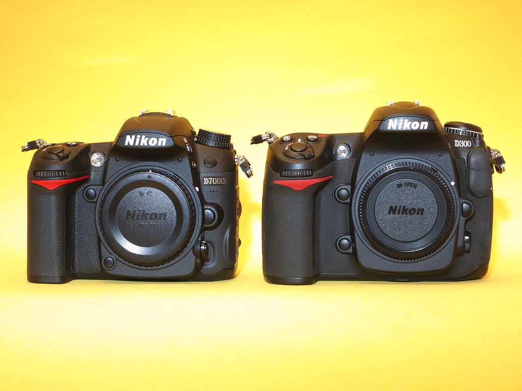 2 boîtiers d&#39;appareil photo Nikon côte à côte