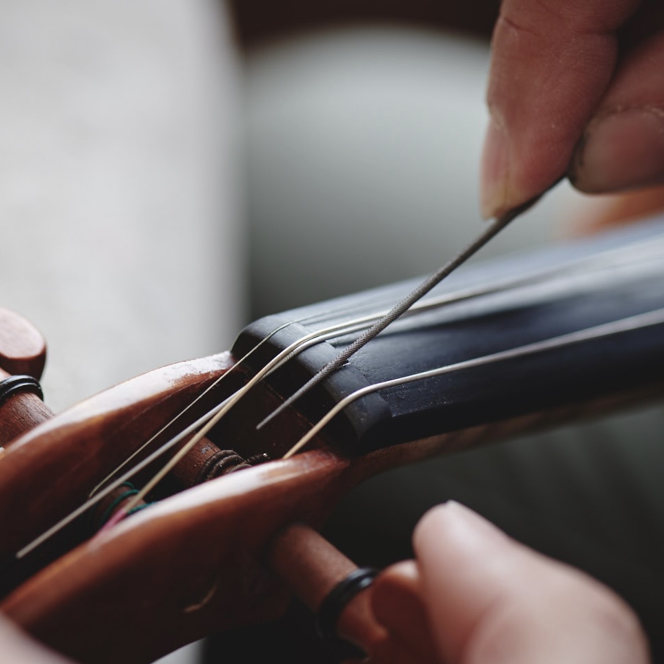 Edgar's Online Violinmaking Academy