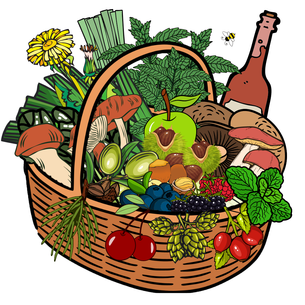foraging basket