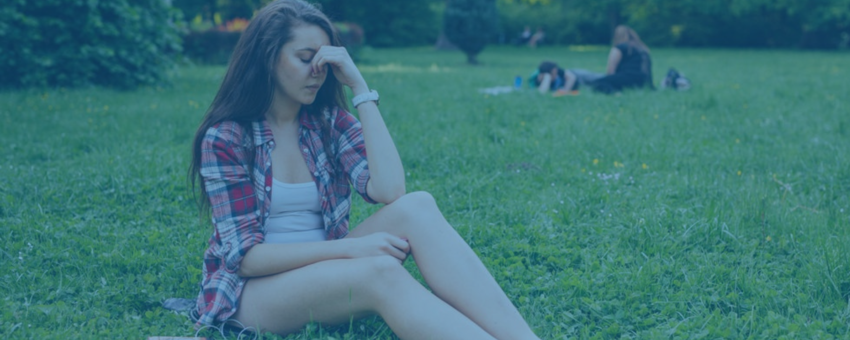 Persistent Lyme disease
