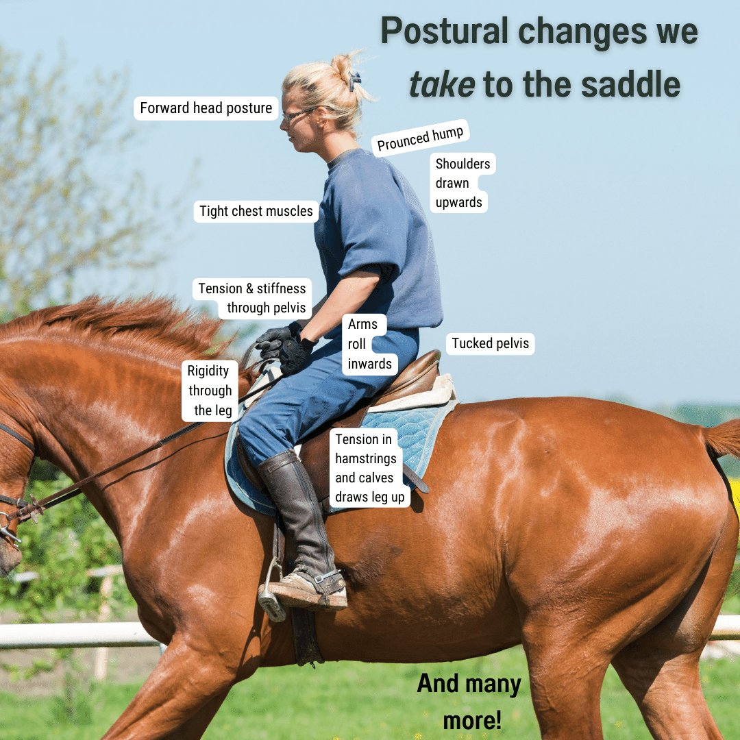 forward head posture horse rider