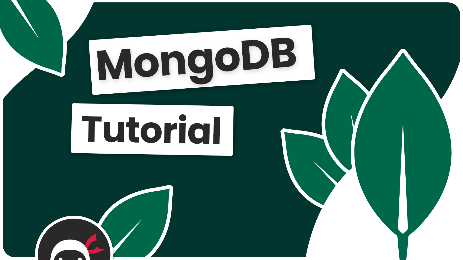 mongodb image