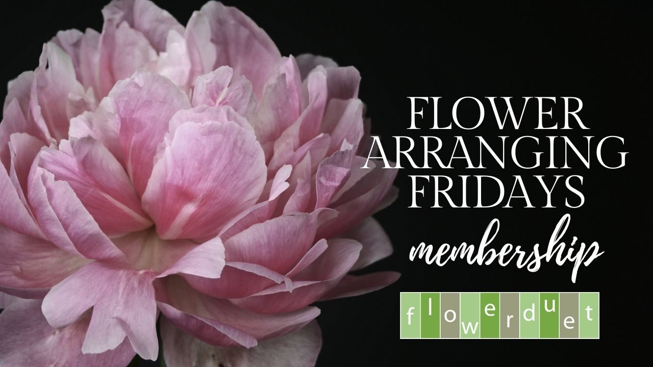 Pink Peony on a black background with text that says Flower Arranging Fridays Membership and Flower Duet Logo