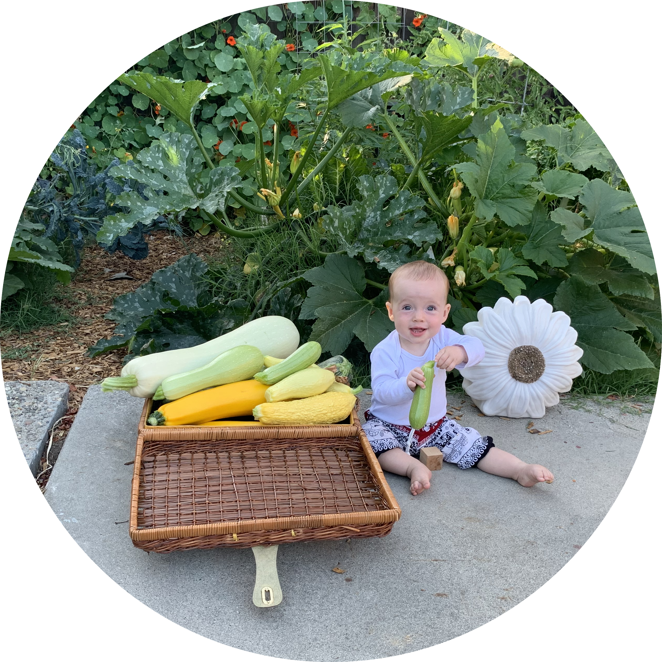 Quincy loves her squash