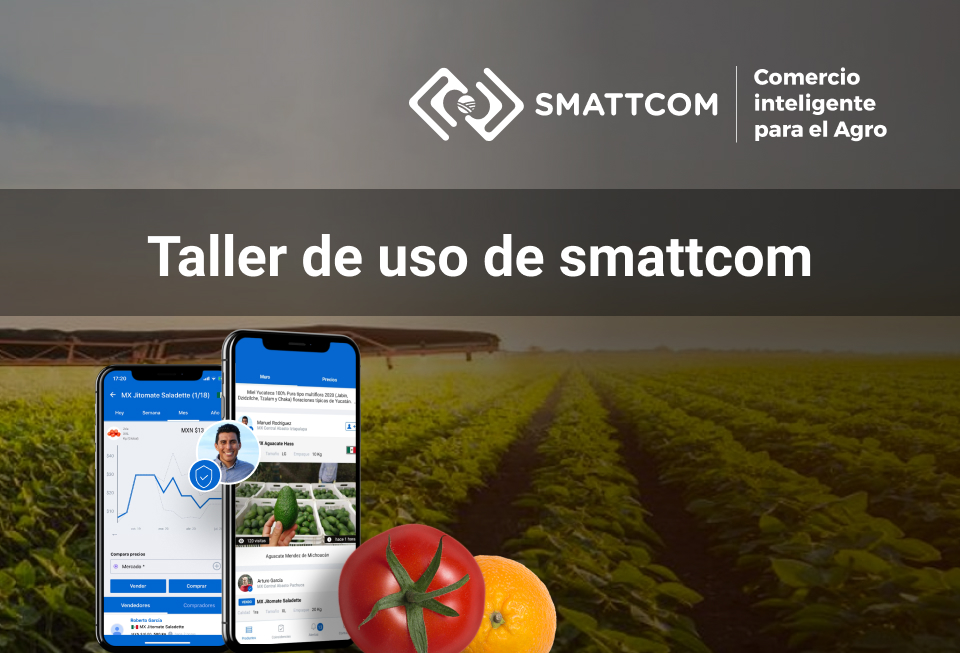 Taller de uso de la plataforma de Smattcom
