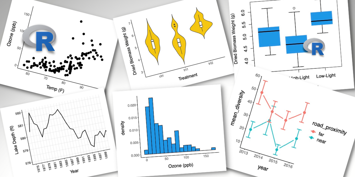 Six data visualizations including a scatterplot, boxplot, violin plot, line plot, and histogram