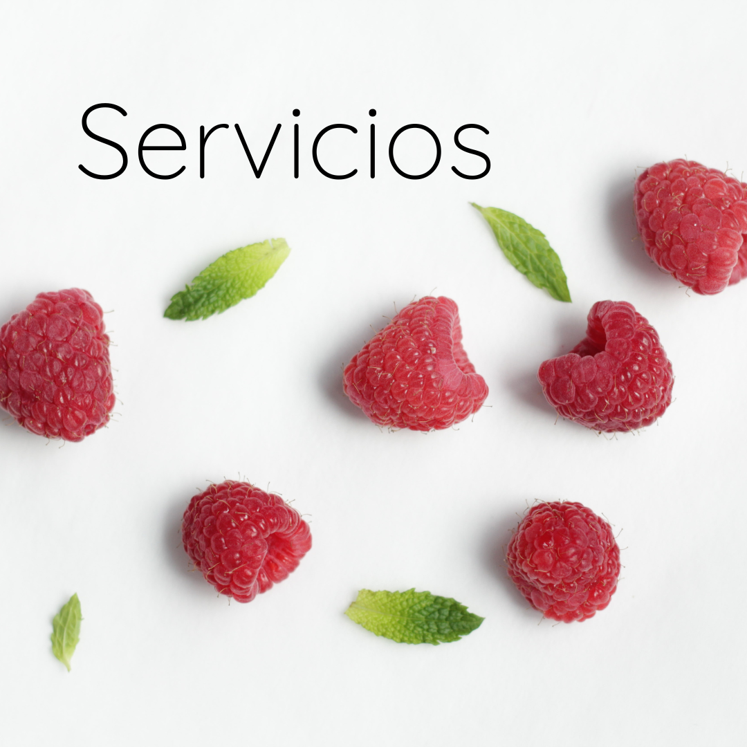 servicios plant-based