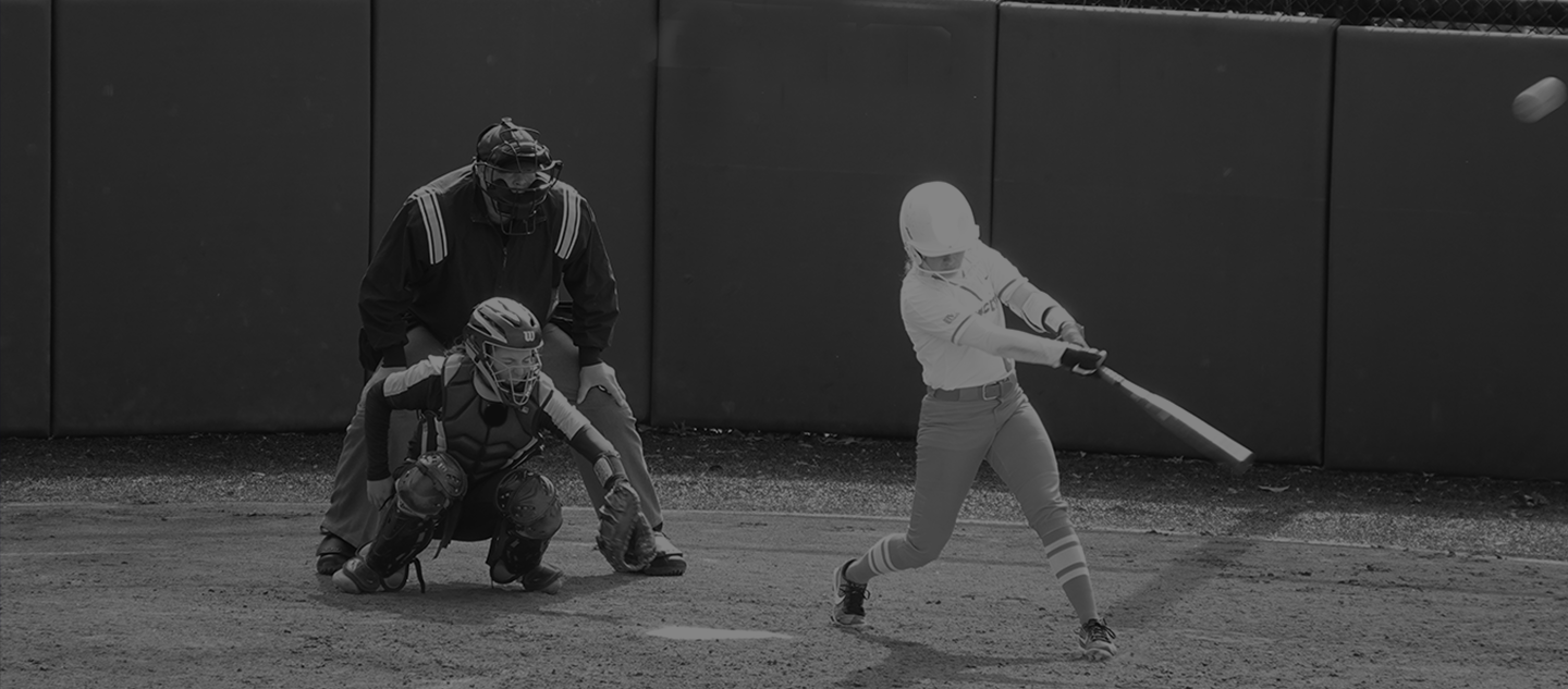 Online Strength Training for softball