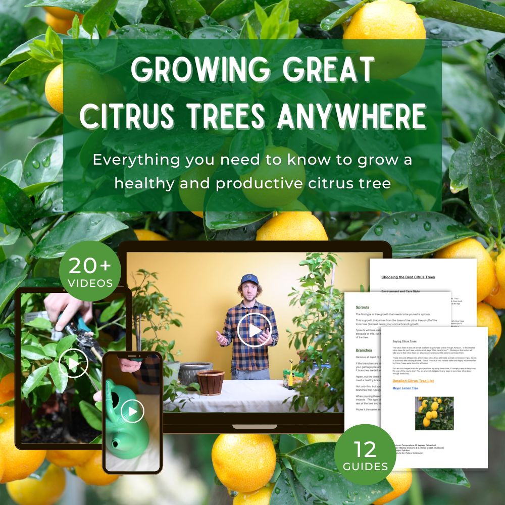 Sample videos and guides from The Gardening Dad's Growing Great Citrus Trees Anywhere course; text 