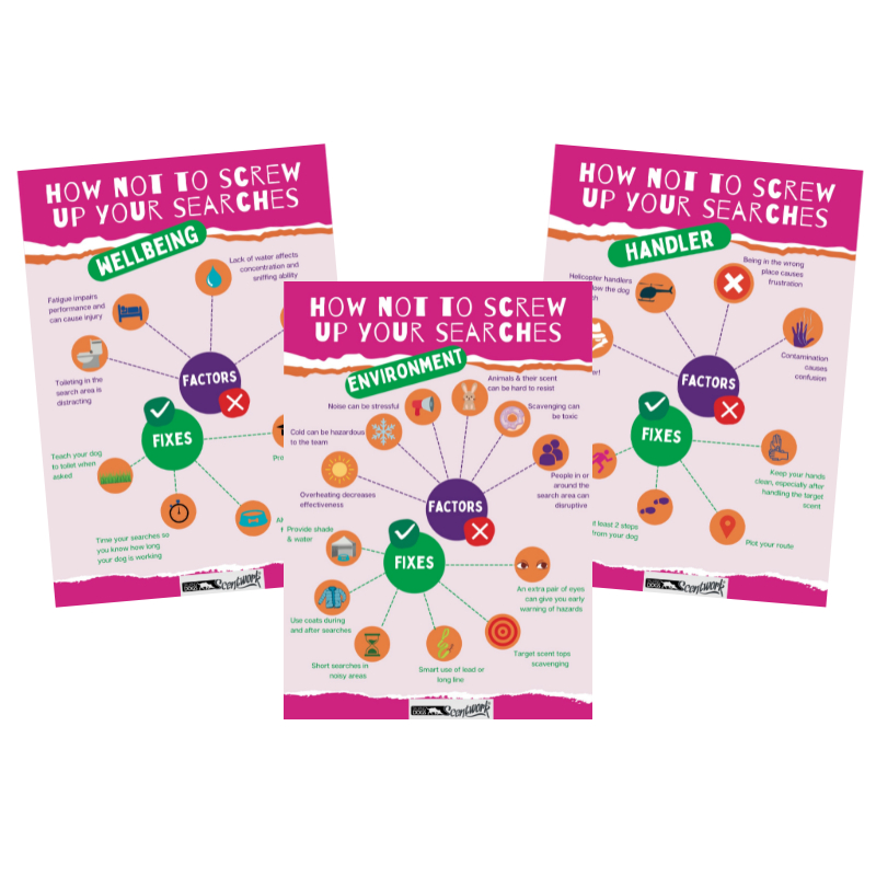 set of three scentwork infographics